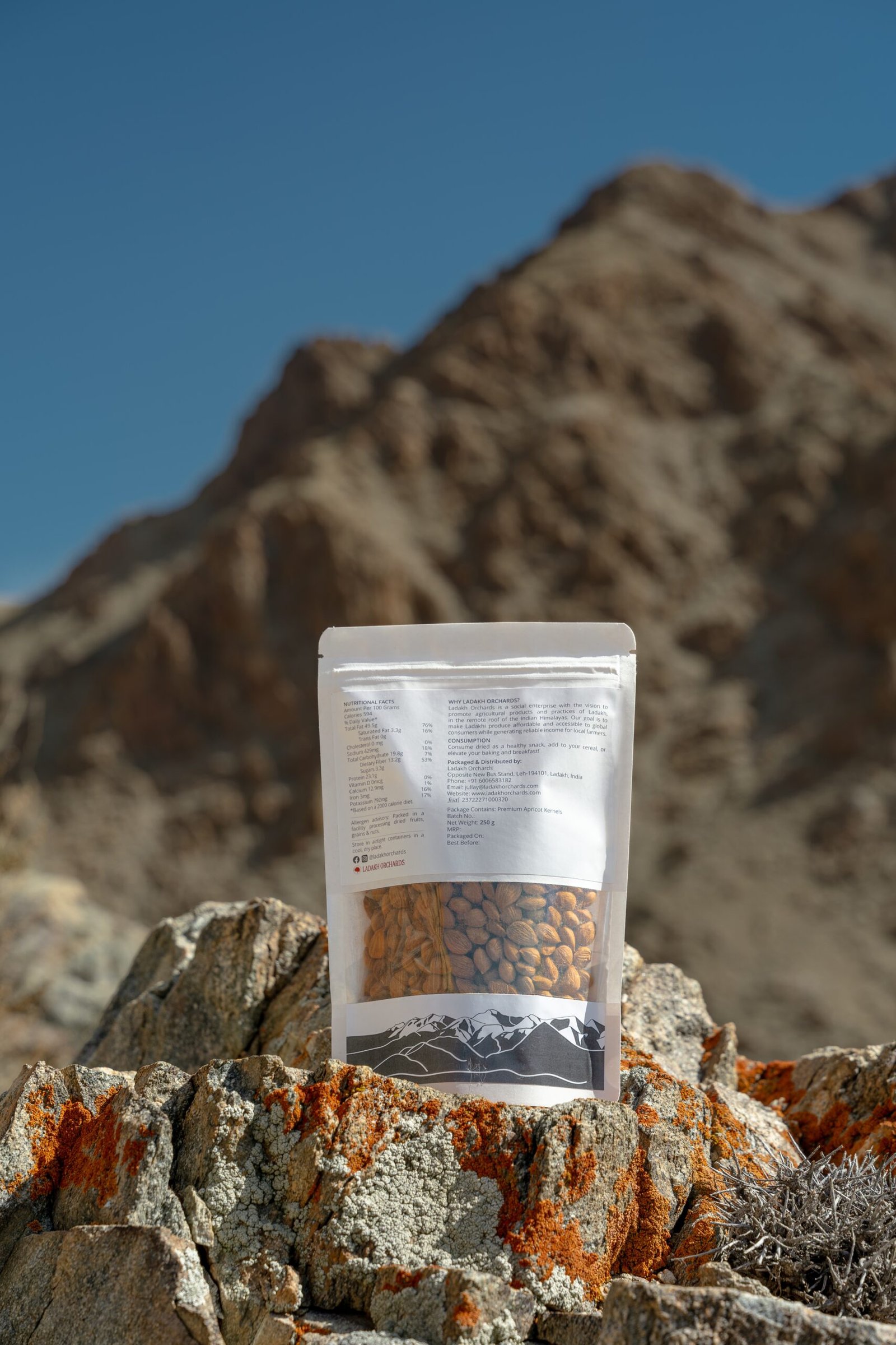 Premium Apricot Kernels | All-Natural & Chemical-Free - Image 2