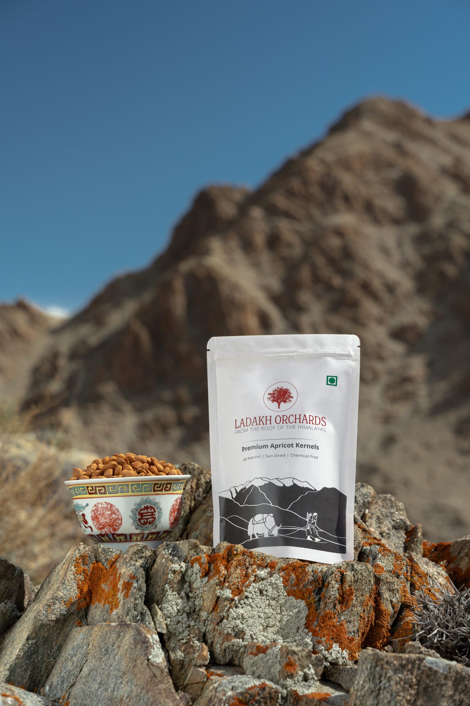 Premium Apricot Kernels | All-Natural & Chemical-Free