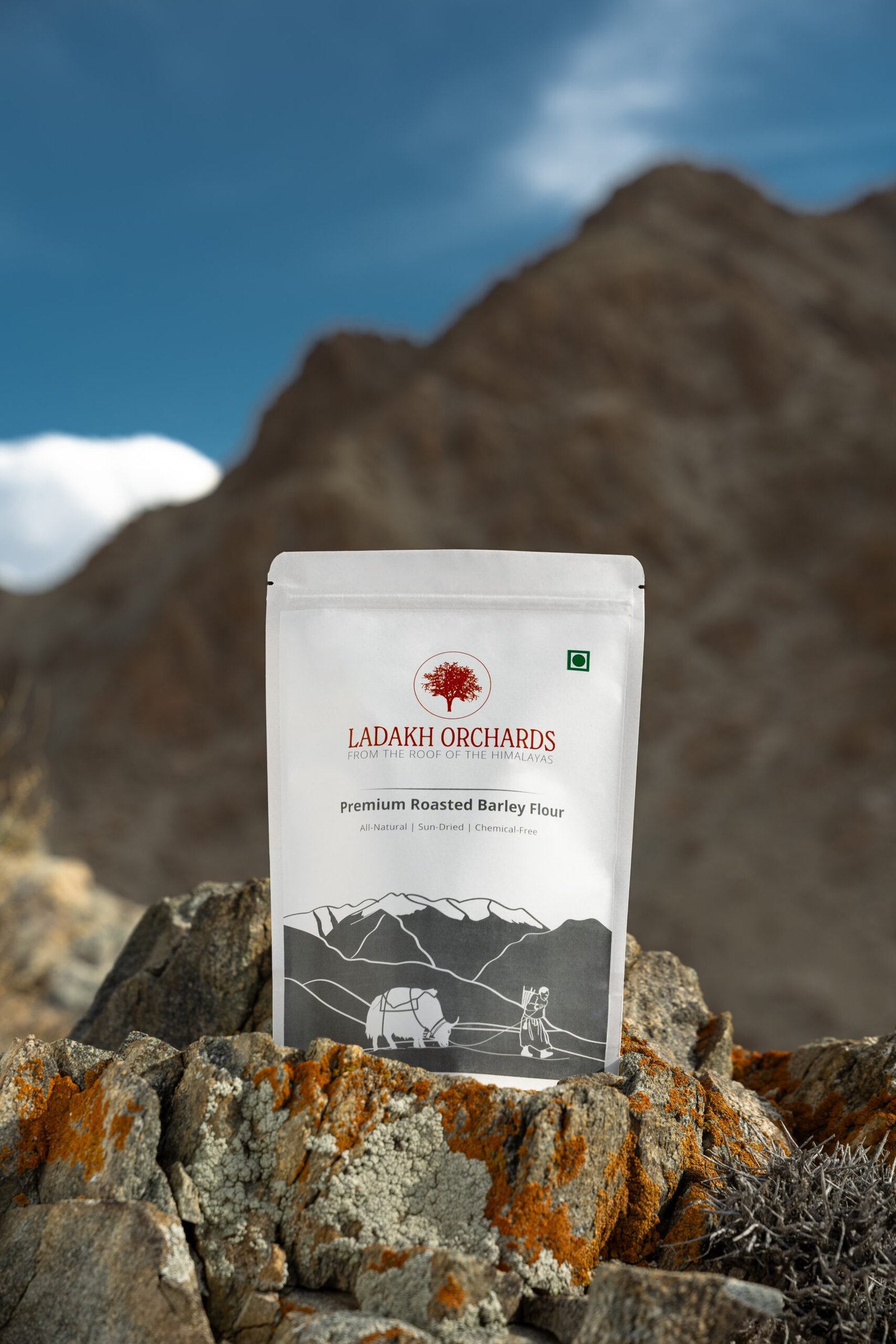 Premium Roasted Barley Flour | All-Natural & Chemical-Free | 500g